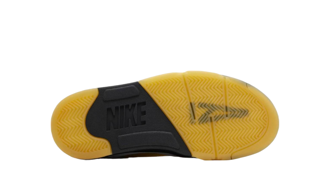 Jordan 5 A Ma Maniére Diffused Blue