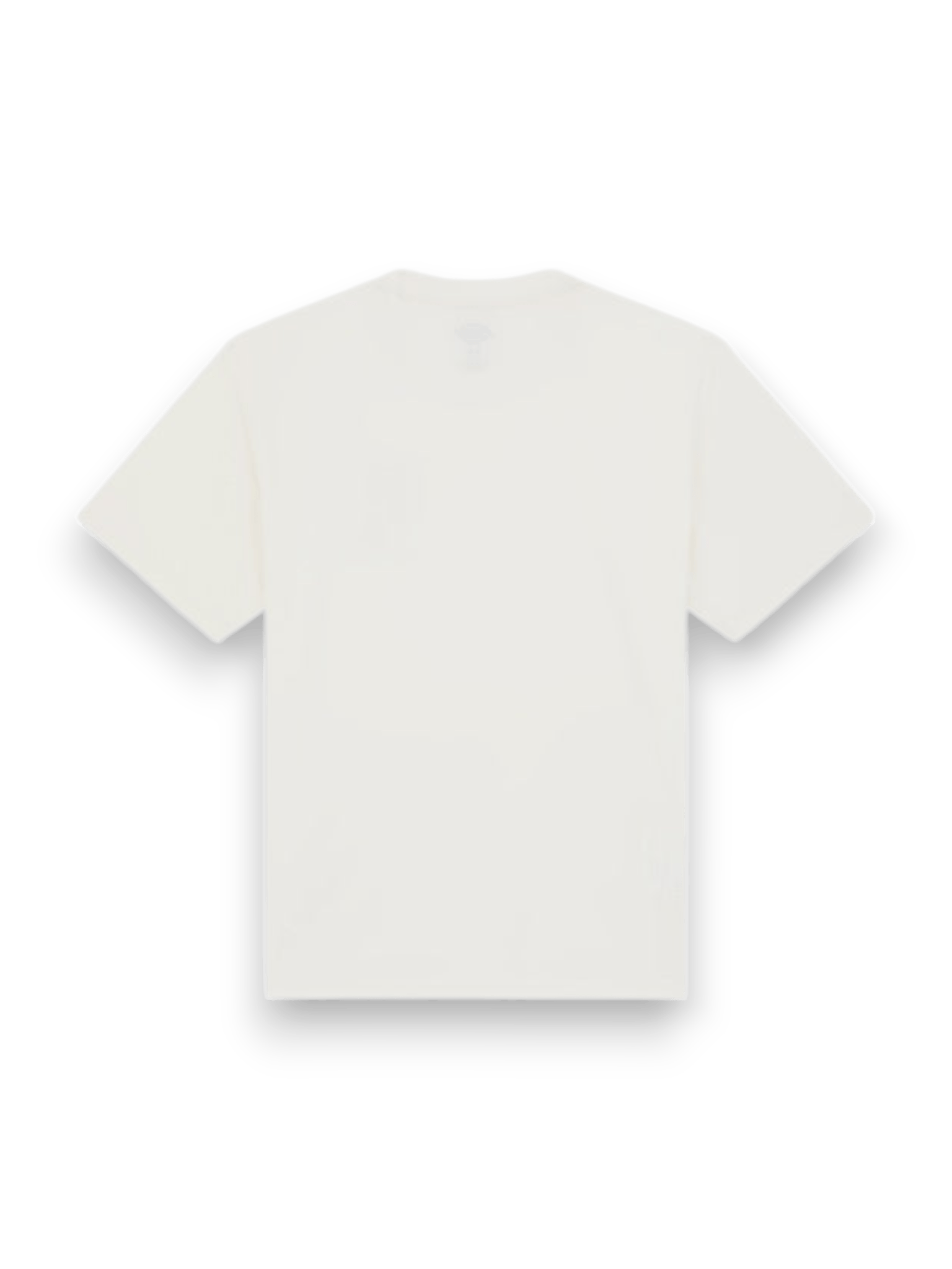 Dickies T-shirt Lynndyl Cream