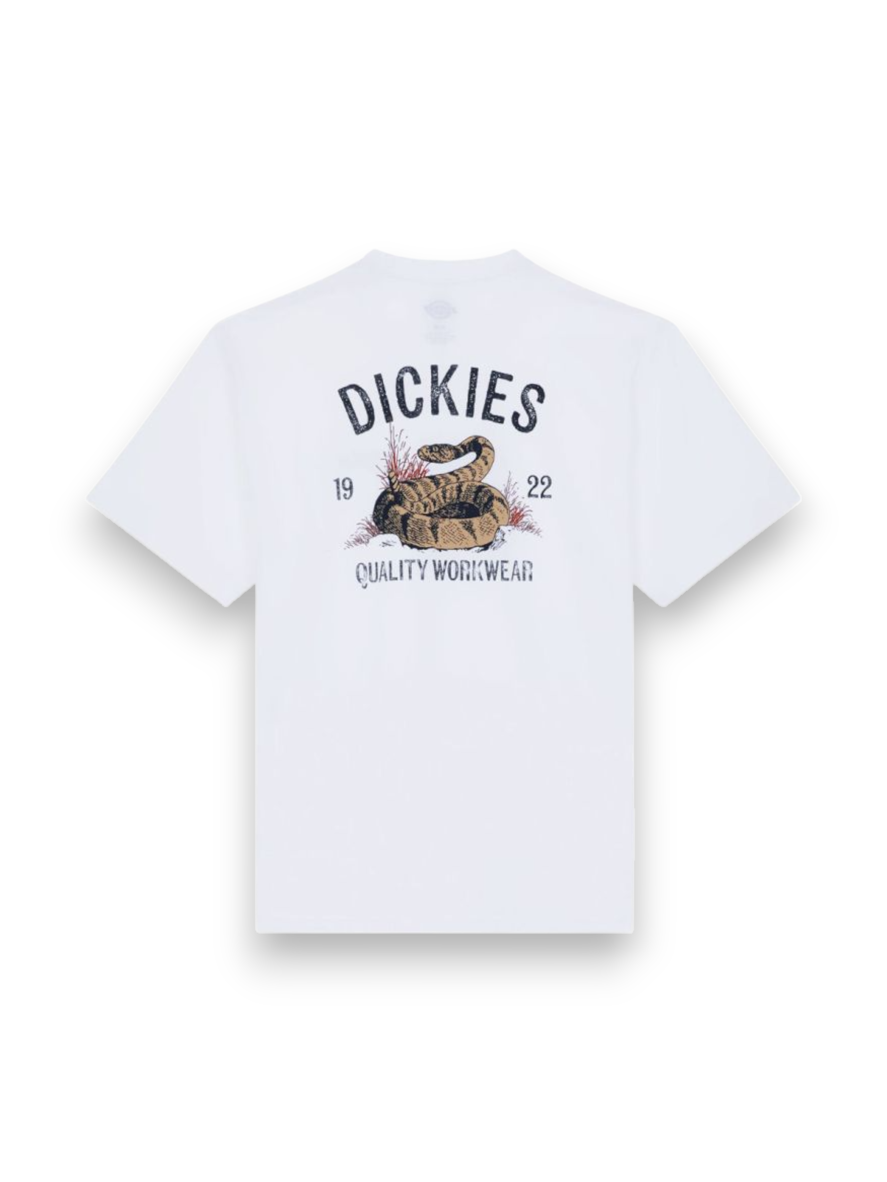 Dickies Snake White