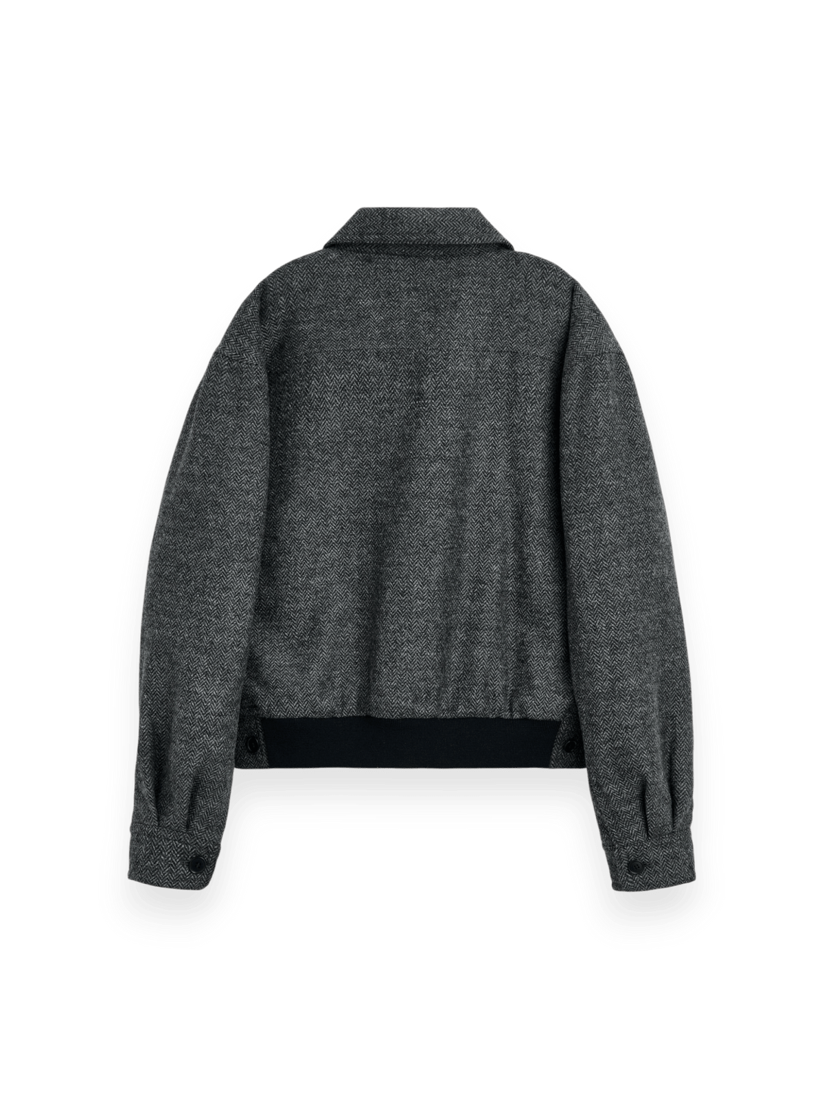 Sunflower Harrington Antracite