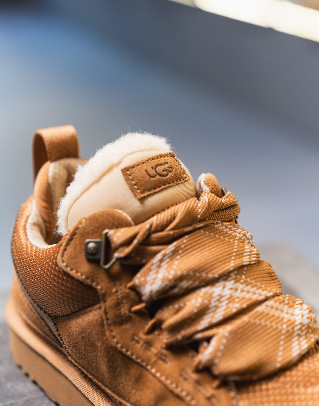 ugg lowmel chestnut oblio shop