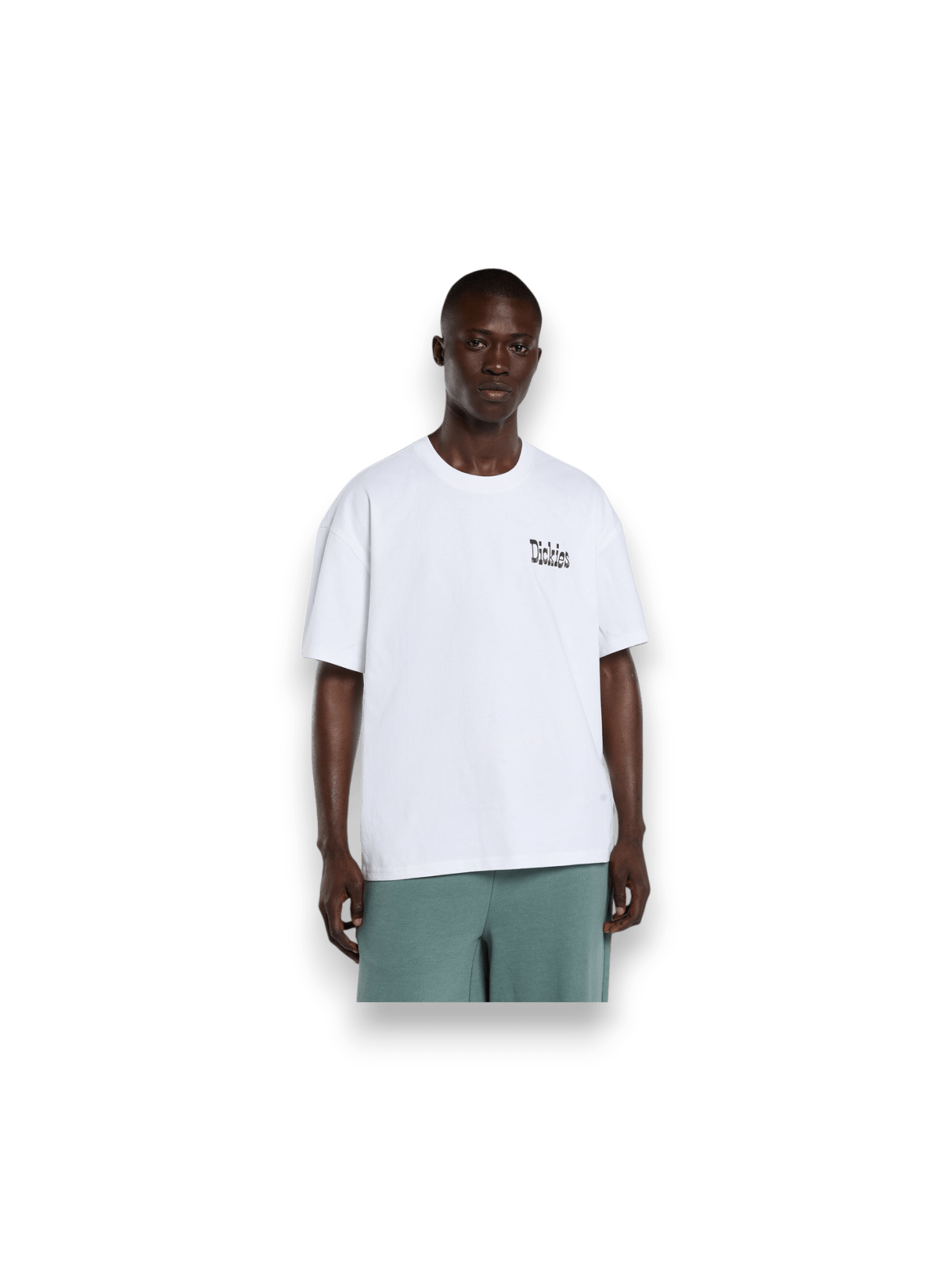 Dickies T-shirt Polk White