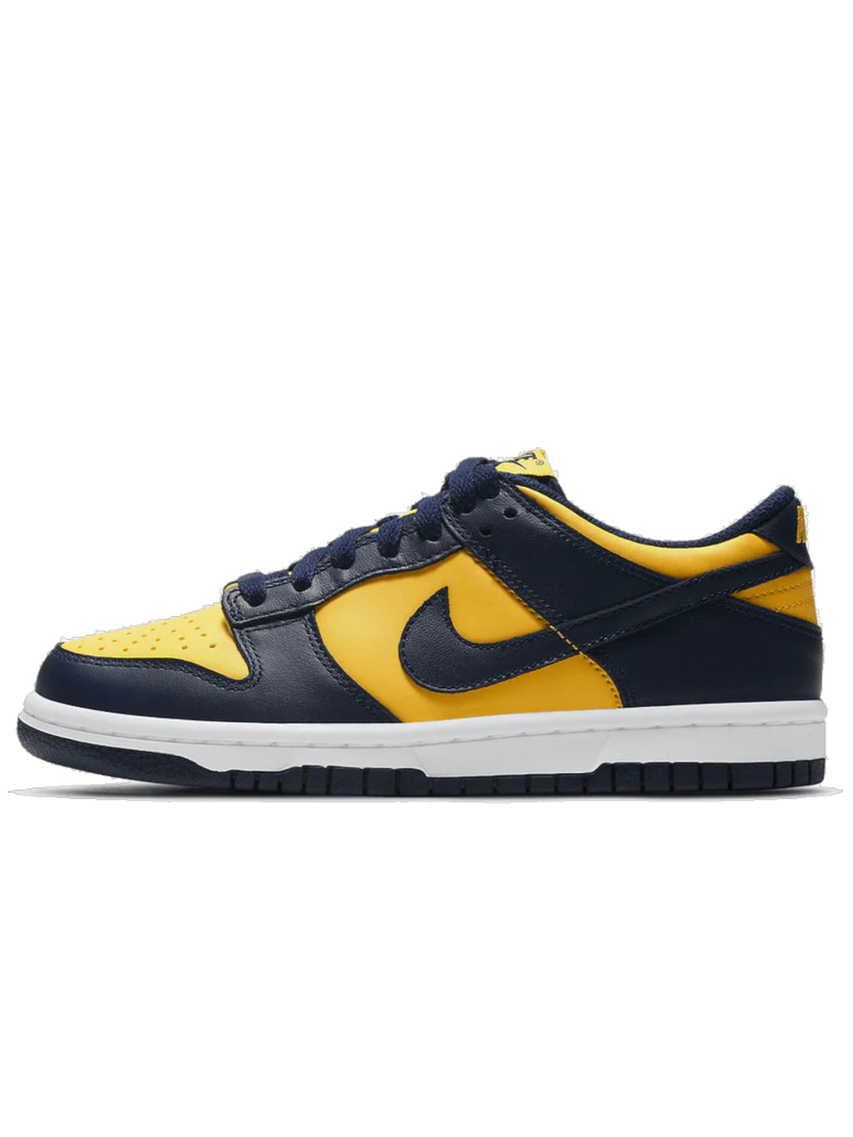 Nike Dunk Low Michigan (2021/2024)