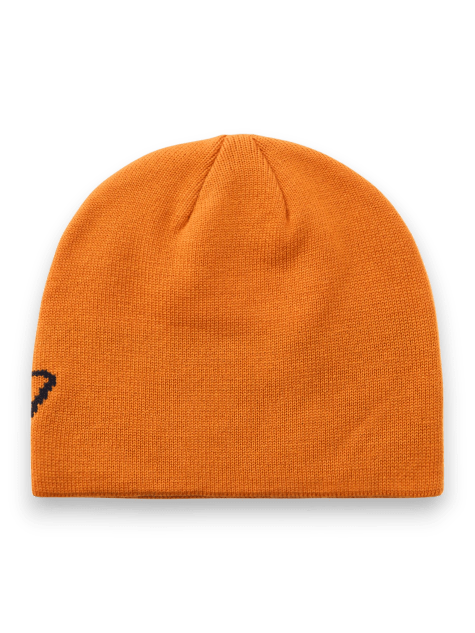 DICKIES SUMMERDALE LOGO BEANIE AUTUMN
