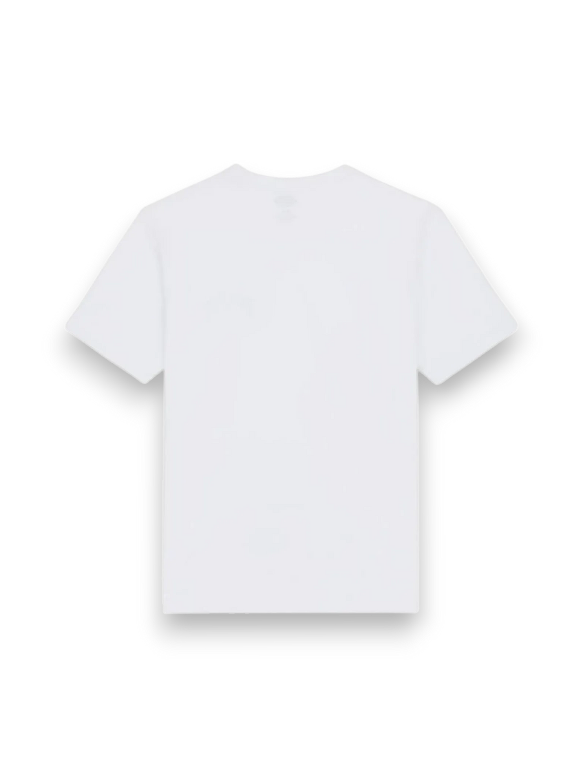 Dickies Aitkin White