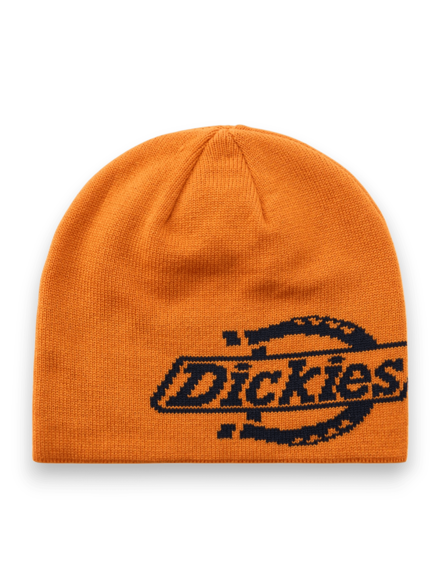 DICKIES SUMMERDALE LOGO BEANIE AUTUMN