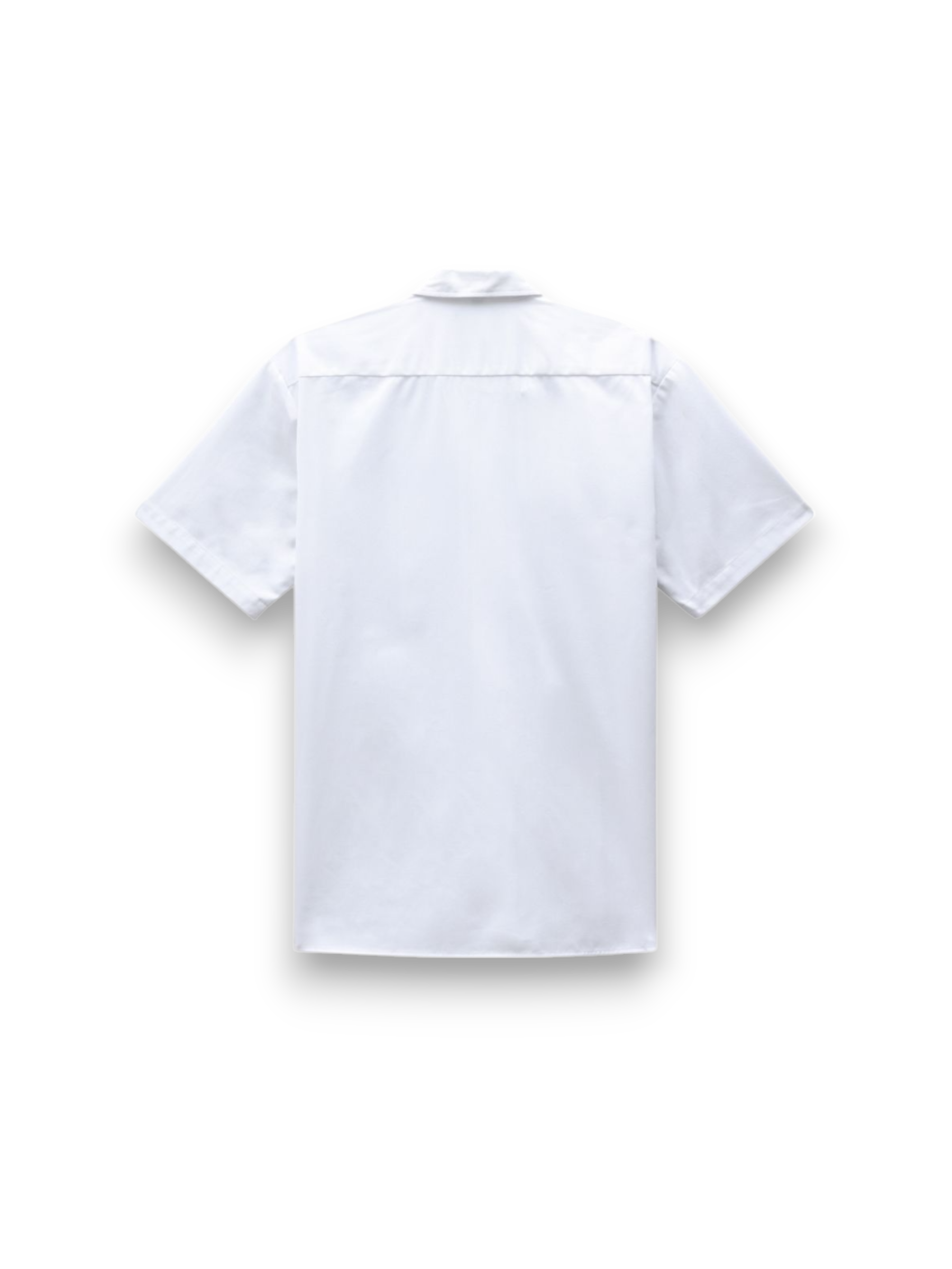 Dickies shirt clintondale rec white