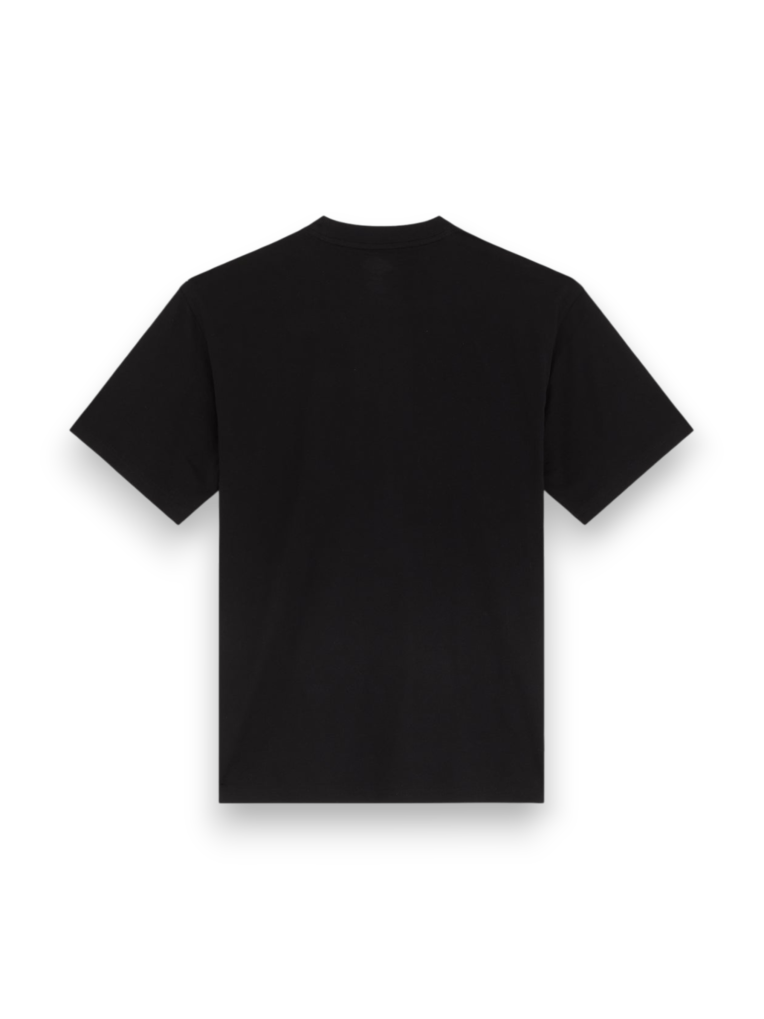 Dickies T-shirt Lynndyl Black